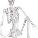 Halloween Skeleton, Realistic Life Size Skeleton with Movable Joints for Halloween Party Haunted House Indoor Outdoor Decoration (5.4ft-1P)