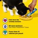 Temptations Creamy Puree Squeezable Lickable Cat Treats, Wet Cat Treats with Salmon and Chicken Variety Pack, 0.42 oz. Tubes, 16 Count (EXP 09/27/27)