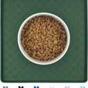 Ptlom Pet Placemat for Dog and Cat, Waterproof Silicone Pet Feeding Bowl Mats for Food and Water, Small Medium Large Dogs Mat Prevent Residues from Spilling to Floor, Hunter, 11.8"x11.8"
