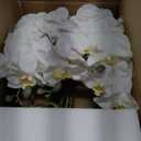 Ziwon Artificial Orchid Flowers Potted in Ceramic Pot, White Faux Phalaenopsis Orchids for Table Centerpiece, Realistic Fake Flower in vase for Home Office Decor Indoor (Ww11)