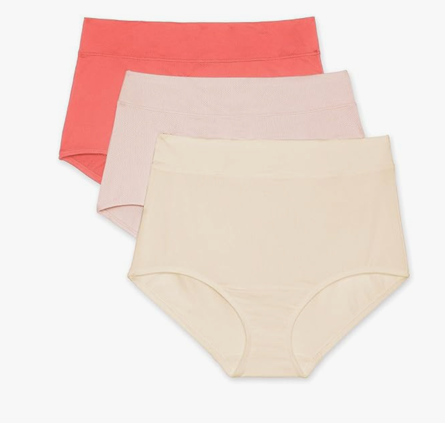 Warner's Women's Blissful Benefits Dig-Free Seamless Brief 3-Pack, Size L