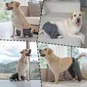 Dog Recovery Sleeve for Hind Leg, Adjustable Buckled Dog Recovery Suit as Cone Collar Alternative, Thick Rear Leg Sleeve to Prevent Licking Wound for Dogs, S