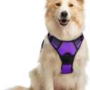 Rabbitgoo Dog Harness No Pull with 2 Leash Clips, Adjustable Soft Padded, Reflective Oxford No Choke Pet Vest with Easy Control Handle for Medium Sized Dogs, Purple, M