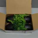 Outanaya 4pcs Artificial Succulents Black Pots Realistic Faux Bonsai Plants for Home Office and Bathroom Decor Lifelike Simulation Plants for Indoor Decoration