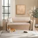 Maymiss Couch Cover for Dogs Sectional Sofa Covers Washable for 2 Cushion Couch, Chenille Couch Cover Blanket, Sectional Sofa Slipcovers, Multi-Use Furniture Protector for Kids, Pets, 71" X118", Sand