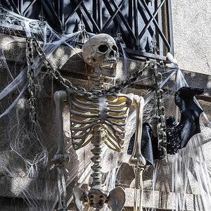 Halloween Skeleton Decoration Prop