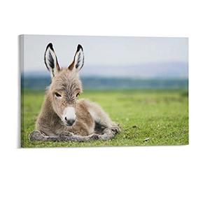 Animals Baby Donkeys Canvas Poster Bedroom Decor Sports Landscape Office Room Decor Gift,Canvas Poster Wall Art Decor Print Picture Paintings for Living Room Bedroom Decoration 30x40