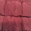 Mini Quilted Wristlet Bag for Women, Puffer Handbags, Evening Bags, Charm Lipstick Bag, Cute bag Charm for Gift (Watermelon Red)