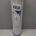 Pentair Pentek EP-20BB Big Blue Carbon Water Filter, 20-Inch, Whole House Carbon Block Replacement Cartridge with Bonded Powdered Activated Carbon (PAC) Filter, 20" x 4.5", 5