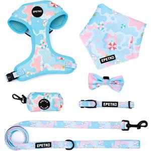 Small Dog Harness and Leash Set of 6, No Pull Soft Lightweight Mesh Puppy Harness Adjustable Cute Floral Pattern Pet Harness for Dogs (Blue Sea, L)