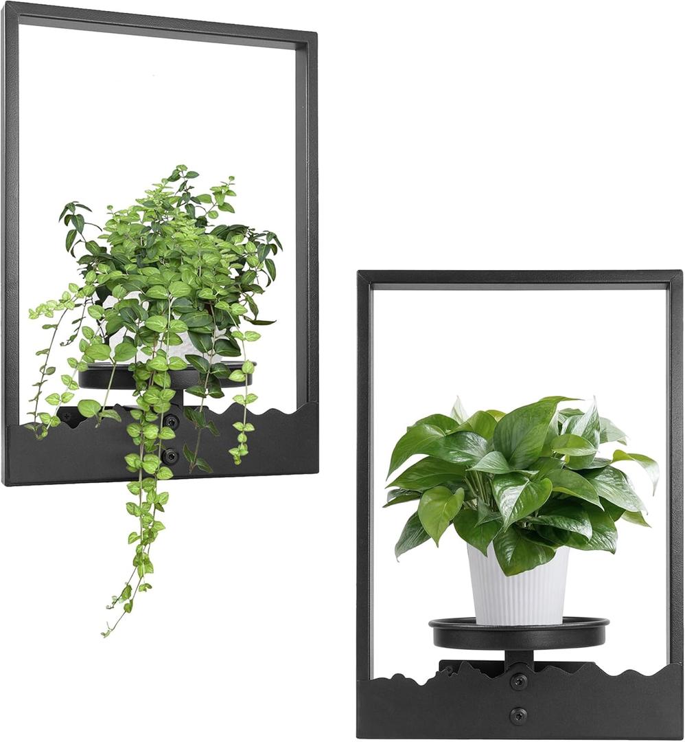 Wall Planters for Indoor Plants Picture Frame Plant Holder Metal Black Hanging Planters Window Plant Shelf Plants Wall Shelf 2 Pack