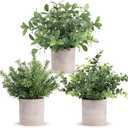 Der Rose 3 Pack Mini Potted Fake Plants Artificial Plastic Eucalyptus Plants Centerpieces for Table Home Office Desk Accessories Farmhouse Room Classroom Decor