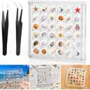 XANGNIER Acrylic Magnetic Seashell Display Box,Clear Sea Shell Display Box,Beach Magnet Storage Organizer Case for Seashell Diamond Beads,36 Grids,Transparent,1 Pack