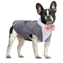 DORA BRIDAL Dog Tuxedo for Small Dogs,Dog Suit and Bowtie, Formal Dogs Wedding Outfit, Pet Tuxedo and Bandana Set Valentines Birthday Christmas Party Costumes for French Bulldog, Pomeranian, Grey, S