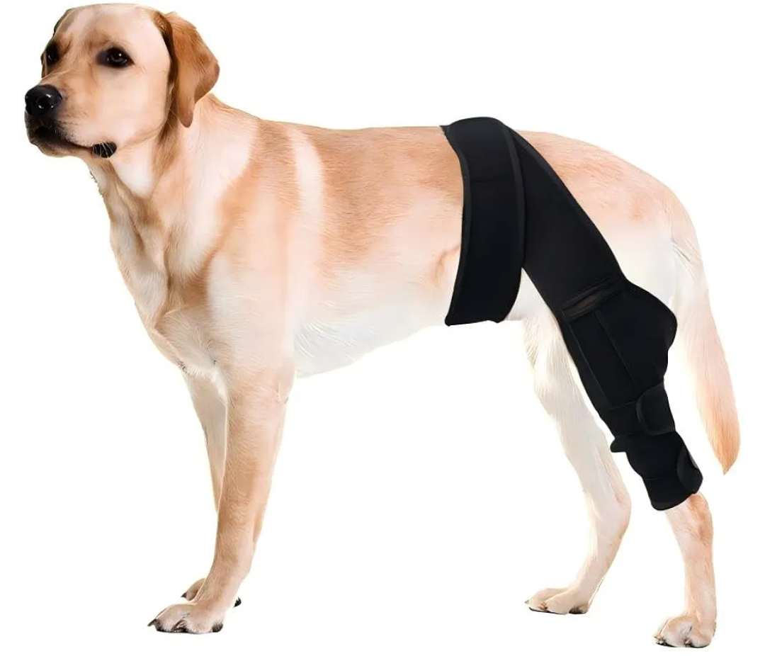 Dog Knee Brace for Torn ACL Hind Leg，Comfortable and Adjustable Support Brace with Two Stabilizer，Dog Leg Braces for Back Leg with Extra Support，Arthritis Relief and Surgery Recovery (L)