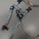 pidan Cat Harness and Leash Set, Cats Escape Proof - Adjustable Kitten Harness for Large Small Cats, Lightweight Soft Walking Travel Petsafe Harness(Multicolor-M Size