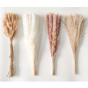 Dried Pampas Grass Decor 110 PCS Dried Plants,Dried Flowers Natural pompas Floral for Wedding, Boho Decor , Home, Rustic Party, Baby Shower Arrangement Centerpiece Table Decorations (Multi-colored-100pcs)