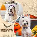 Halloween Dog Collar Bowtie - Fall Collar with Bow-Pumpkin Bat Ghost Pattern - Adjustable for Medium Dogs