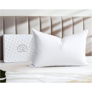 White Goose Down Pillow - Luxury Hotel Bed Pillow with 100% Natural 1000+ Fill Power Goose Feather Down Pillow for Sleeping, 700TC Cotton Shell, Standard Size- Medium, 1 Pack