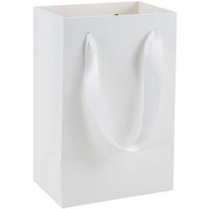 HUAPRINT 30 Pack White Small Paper Bags with Handles - 5.25x3.75x8 inch Gift Wrap Bag for Retail,Party Favor,Merchandise,Business,Shopping,Wedding