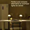HEQET Cordless Table Lamps for Home,Table,Dining Room, Gold Rechargeable Lamps, USB Charge 12'' Tall LED Brass Portable Outdoor Indoor Table Lamp with Built-in Dimmer (Pack2-Gold Lamp)