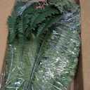 Der Rose 49 inch 96 Leaves Fake Ferns Large, UV Resistant Artificial Plants Outdoors Faux Boston Fern Plants for Porch Home Patio Hanging Decor