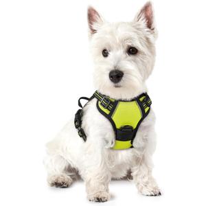 rabbitgoo Dog Harness No Pull with 2 Leash Clips, Adjustable Soft Padded, Reflective Oxford No Choke Pet Vest with Easy Control Handle for Puppy, Green, XS (Wild Lime)