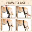 Dog Hip Orthotics Brace, Dog Hip Dysplasia Brace, Support for Hip Dysplasia, Arthritis, Luxating Patella, Back Leg limping, Relieve Hip Pain and Orthodontic Assistance - Medium