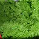 6FT Pre-Lit Artificial Green Pencil Christmas Tree
