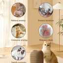 Kitty Kurls Cat Toys, Magic Organ Cat Scratcher Board with 2 Bell Balls,Twisty Paws Cat Toy FoldableChangeable, Interactive Kitty Curls for Indoor Cats