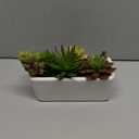 Artificial Succulents Plants in Ceramic Planter Assorted Faux Succulents in Pots Arrangement Fake Succulent Potted Plant for Home Office Desk Bathroom Shelf Living Room Indoor Outdoor Decor - Black (White#1)