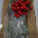 45 Pcs Artificial Christmas Snow Pine Branches with Red Berry Stems, Snowy Faux Greenery Norfolk Pine Cypress Leaves Stems, Berries White Frosted Fake Foliage Pines Needle Picks for Garland Home Decor