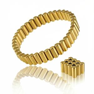 0.17''×0.35'' Neodymium Cylinder Magnets,50pcs Gold Magnet,Tiny Rod Magnets for Whiteboard,Fridge,Craft,Map Magnet,Magnetic Bracelet for Men Women,Magnetic Ring Jewelry
