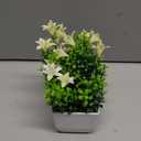 Der Rose 4 Pack Small Fake Plants Mini Artificial Faux Plants Indoor with Flowers Spring Decorations for Home Room Farmhouse Desk House Bathroom Decor