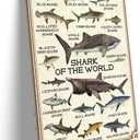 Shark Wall Art Framed Prints Educational Poster Painting Wall Decor Vintage Shark of the World Canvas Artwork 08x12 inches