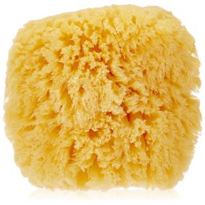 Bath Accessories Natural Sea Sponge, Medium/5"