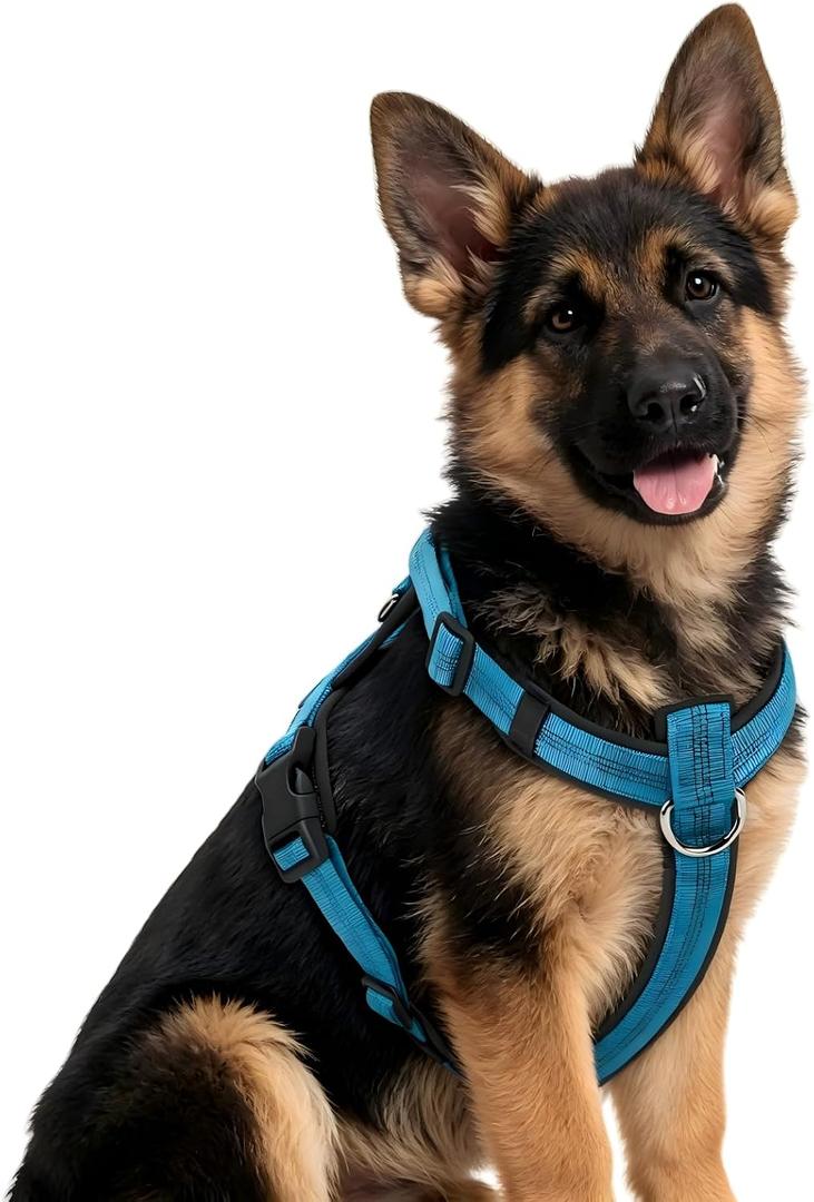 No Pull Dog Harness, Arcolma,Made to Roam Collar Design with Breathable Neoprene Padding, Y-Shaped Anti-Choking,Double D-Ring Traction, High-Reflecti (Blue, XL)
