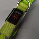 Flashseen LED Dog Collar, Light Up Dog Collar Lights USB Rechargeable, Adjustable Comfortable Soft Mesh Safety Collar for Small, Medium, Large Dogs(Large, Neon Green)