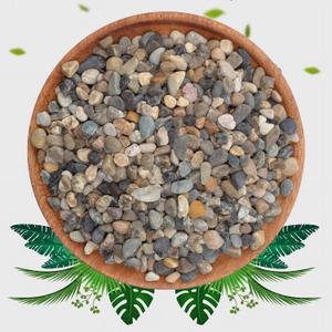 2lbs Fish Tank Rocks, 1/5 Inch Pea Gravel for Fish Tank, Decorative River Rocks for Aquarium Succulent Cactus Plant Vase Fillers Soil Cover and Outdoor Landscaping Stones (Mixed color pebble)
