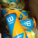 Wilson Prime All Court Tennis Ball, 24 Can Case