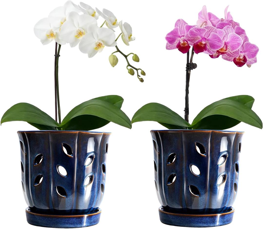FoldTier 2 Pack 6.5 Inches Round Ceramic Orchid Pot with Holes and Saucers, Small Succulent Pot, Orchid Planter for Repotting, Healthy Root Growth, Promote Air Circulation, Plant Indoor and Outdoor