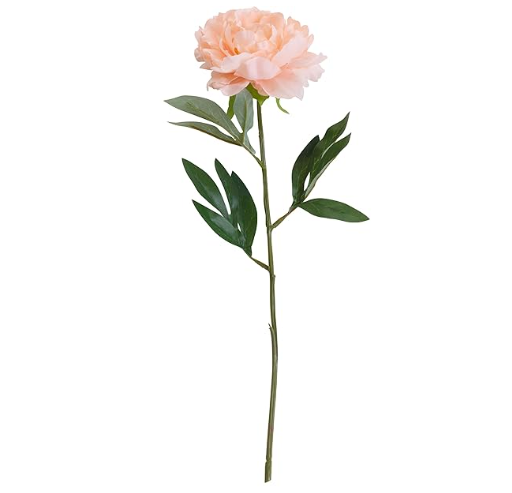 Elements Blush Peony Artificial Flower Stem, Fake Flowers for Home Decoration, 6x3.5x18 Inch