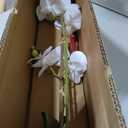 Dolly Parton White Artificial Orchid in Pink Ceramic Pot, 9.8x5.5x24 Inch