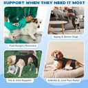 Pawfun Dog Knee Brace for Torn ACL Hind Leg, Adjustable Dog Leg Braces for Back Leg with 4 Metal Stabilizers Helps with Torn CCL, Luxating Patella, Ligament Injuries, Hip Dysplasia, Large