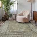 BEIMO Area Rugs 5x7 for Living Room Bedroom, Modern Boho Machine Washable Large Distressed Light Greyish Sage Green Rug, Low Pile Floor Carpet with Non Slip Backing for Dining Room