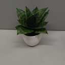 Hollyone Artificial Snake Plants 9" Faux Agave Succulent Plant Potted in White Pot Fake Sansevieria Aloe Tropical Plant for Desk Modern Office Home Bathroom Indoor Outdoor Decor