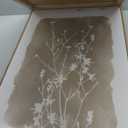 CHDITB Neutral Botanical Wall Art, Large Frame Farmhouse Begie Flower Decor, 3 Pieces