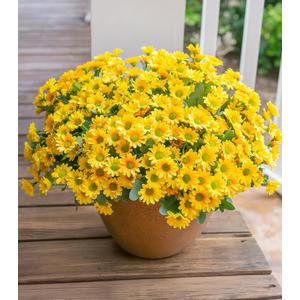 Daisy Artificial Flowers for Outdoors Decoration, 6 Bundles Fake Plants Flowers Bouquet Faux Flowers for Outdoor Planter Look Real UV Resistant Silk Flowers for Outside Front Door Porch Patio, Yellow