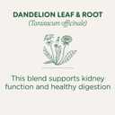 Traditional Medicinals Organic, Dandelion Leaf & Root - Dandelion Root Tea, Supports Normal Detox + Digestion - Kosher, Non-GMO, Caffeine-Free, Compostable - 16 Tea Bags (EXP 03/20/29)