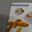 Freshwater Aquariums for Beginners: The Simple Little Guide to Setting up & Caring for Your Freshwater Aquarium